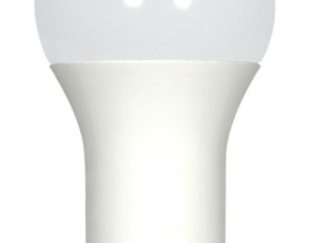 S29819